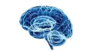 neuro energizer official buy